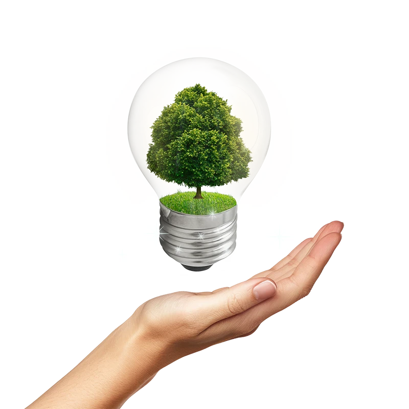 Bacilieri-srl-impiantistica-elettrica